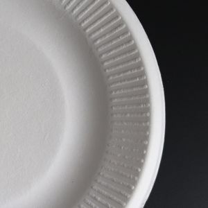Biodegradable Food friendly fully Bagasse 6 inch Round Lace Plates