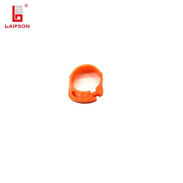 Buy Plastic Poultry Duck Goose Chicken Foot Ring Laser Engraving at wholesale prices