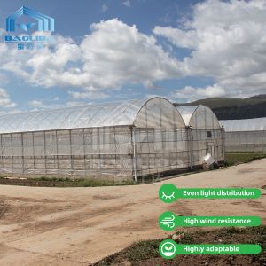 Baolida Polycarbonate Greenhouse Metal Frame Serre Agricole Agricultural