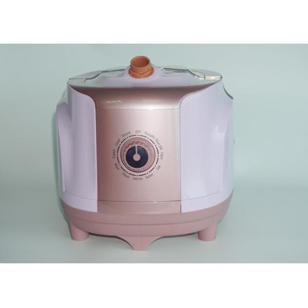 Buy Flexible Commercial Garment Steamer Constant Temperature Setting For Drapes at wholesale prices