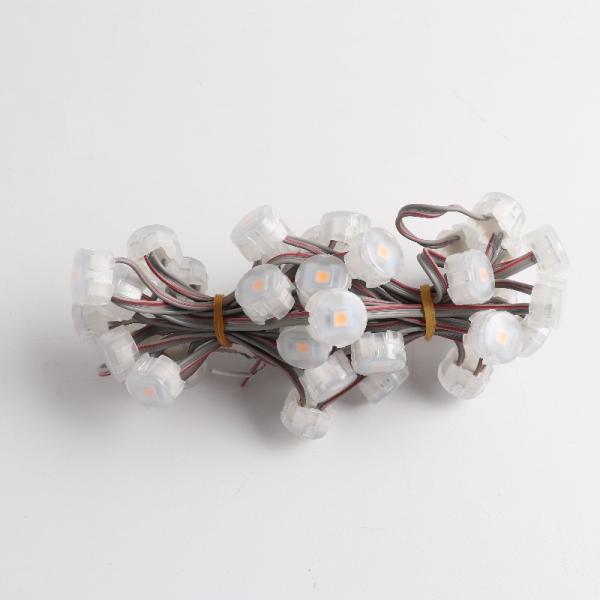 Outdoor LED Point Light for Christmas Decoration High Brightness 0.3W 3PIN JST