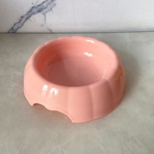 Stylish Pumpkin Pet Bowls - Enhancing Modern Pet Spaces