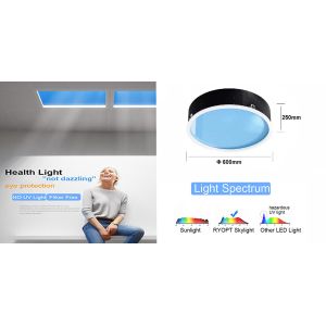 Integrating Smart Artificial Sunlight Panels for Home Office Setup