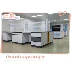 Custmized Lab Island Bench Export Plywood Package For Lab Furnitures Modular