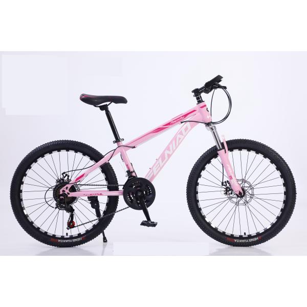 Customized 26'' Adult Mountain Bike Dis-Covery Entry Level With Steel Fork Material
