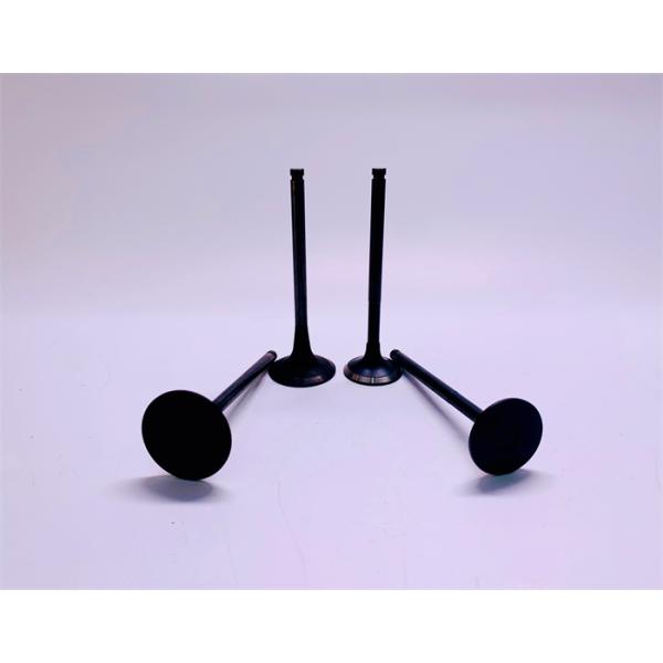 Cummins B3.3 Diesel Engine Valve 6209-41-4110 6209-41-4210 For KOMATSU 6D95 4D95