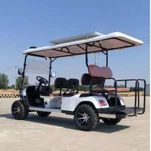 6 Seater Golf Cart Logo Printing Customized Adult Rechargeable Tourist