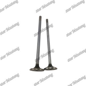 3126 Engine Spare Valve Part 145-7390 147-8211 For Carter