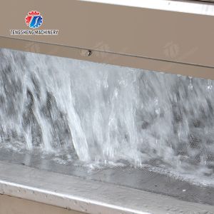 Vegetable Leaves Vegetables Leafy vegetables Cabbage varieties Herbs Fruiting