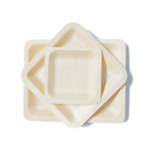 Square biodegradable Birch Wooden Disposable Party Bowls Tableware 8.5 Inch
