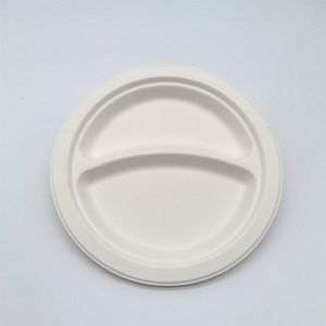 Divided Paper Biodegradable Disposable Plates 2-Compartment 3-Compartment