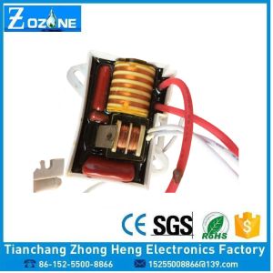 200mg Tube Ozone Generator 220v 110v Ozone Tube