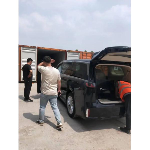 Tesla Model 3 Electric Cars with Max. Power 220kW Overall Mass 1980kg