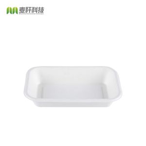 Quality 2022 FREE PLASTIC biodegradable disposable sugarcane bagasse Food fruit trays for sale