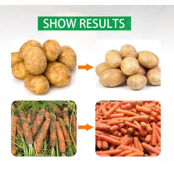 Vegetable 800kg/HR Commercial Potato Peeling Machine