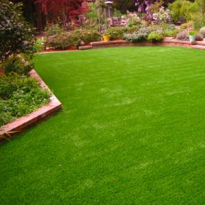 Quality Waterproof Artificial Grass Carpet / Green Artificial Turf Carpet SGS for sale