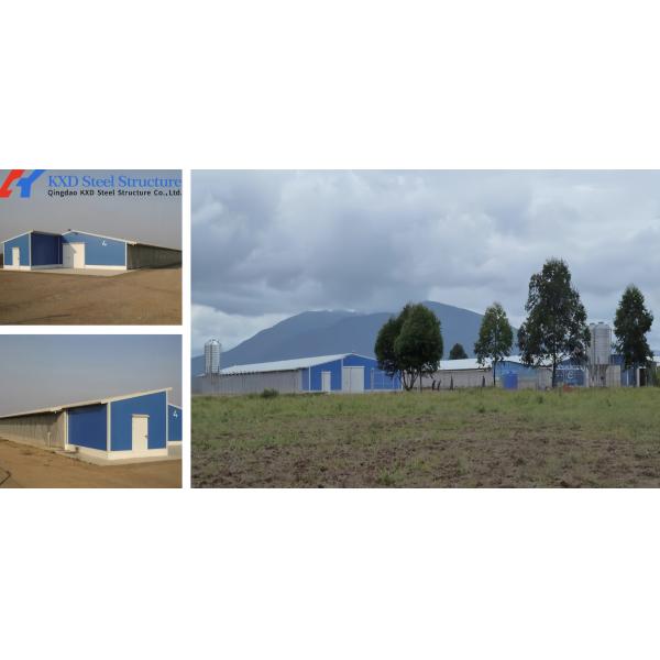 Galvanized Steel Poultry Shed for Large-Scale Chicken Farming