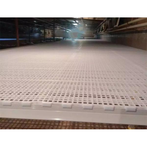 Grating Shed Mesh Plastic Slatted Floor For Poultry