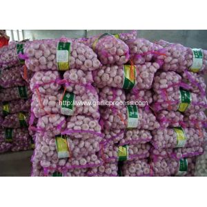 Garlic Dosing Mesh Bag Packing Machine