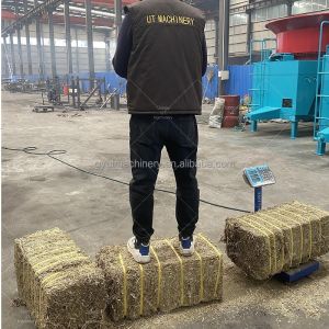 Hydraulic Bagging Machine for Manufacture Supply of Alfalfa Hay Straw Cotton