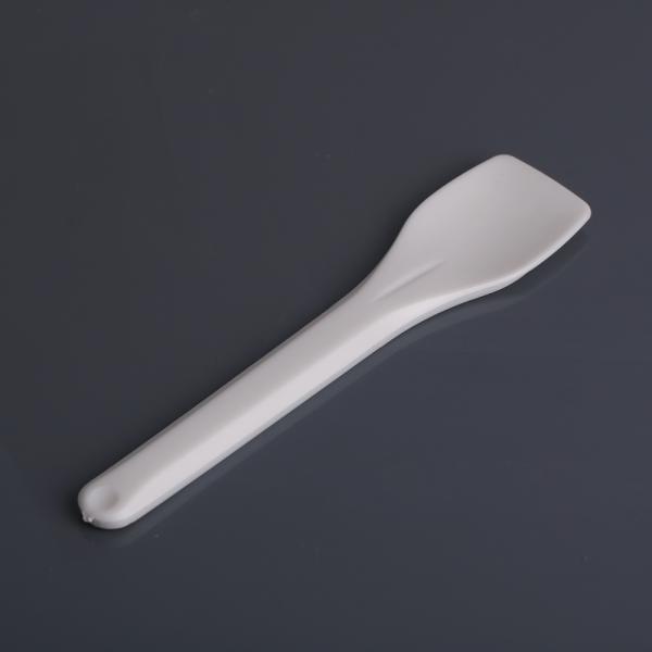 Ice Cream Biodegradable Spoon 9.5cm Pla Tableware