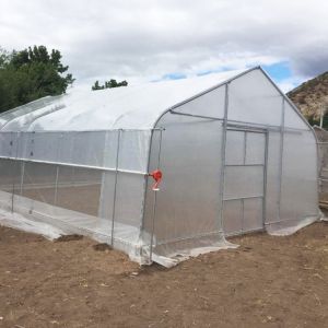 Gothic High Tunnel Vegetable Film Hydroponics Single-Span Greenhouse Constructio