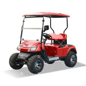 China Red Color 14 Inches Off-Road Tires 4 Wheel LSV Utility 2 Seater Mini Golf Cart Off Road Custom on sale