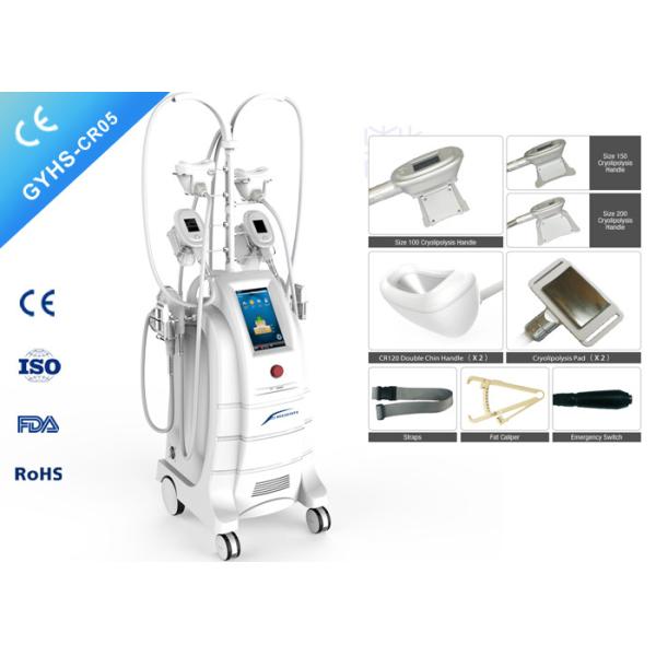 Buy Weight Loss Cryolipolysis Body Slimming Machine 800W With Chin Handpiece at wholesale prices