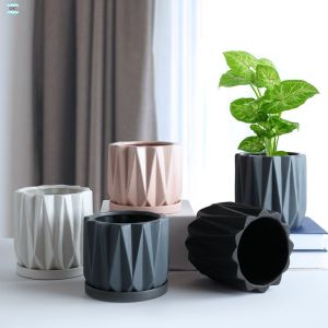 Customizable Ceramic Pots To Meet Your Specific Planting Requirements