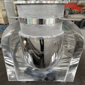 Wet Granulation Extruder Granulating Machine Chinese Medicine Rotary Pharmaceuti