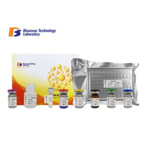 Quality SDMA ELISA Assay Kit Canine ELISA Kits Symmetric Dimethylarginine 96 Wells Size for sale