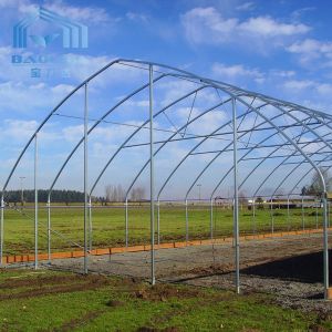 Side Ventilation Hot Galvanized Steel Pipe Tunnel Single Span Greenhouse