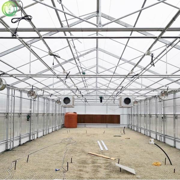 8*30m Greenhouse With Blackout System For Herbal Planting