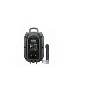 LED Radio Powerful Portable Speakers Trolley Speaker