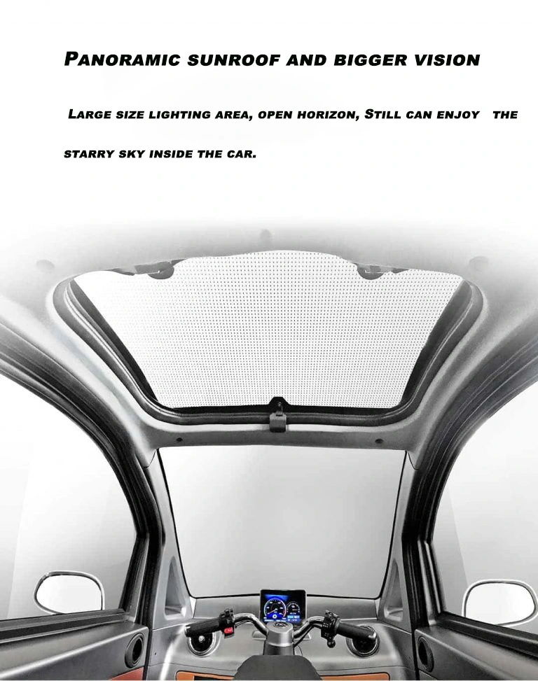 Hot Sell China Manufacture Electric Adult Raysince Mini Three Wheel Electric Car with EEC