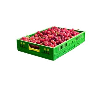 Virgin Plastic Collapsible Folding Vegetable Crate for Agriculture Fruits
