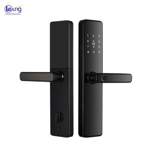 China WiFi Tuya TTlock Smart Lock Door with Cloud Storage and Digital Password Key Card on sale China WiFi Tuya TTlock Smart Lock Door with Cloud Storage and Digital Password Key Card on sale