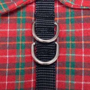 Cute Cat Harness Collar With Heavy D Rings