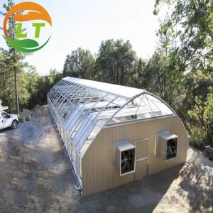 Film Covered Mushroom Cultured Greenhouse for Mushroom Cultivation and Easy