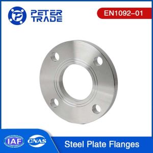 Quality EN1092-01 PN 10 TYPE 01 Carbon Steel Plate Flange Raised Face PLRF For Piping Systems for sale