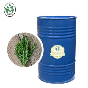 Skin Whitening Aromatherapy Essential Oils Rosemary Essential Oil Customized