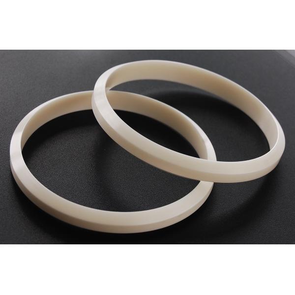 Buy ISO 9001 Industrial Ceramic Seal Rings / Zirconia Ceramic Ring For Pad Printing at wholesale prices