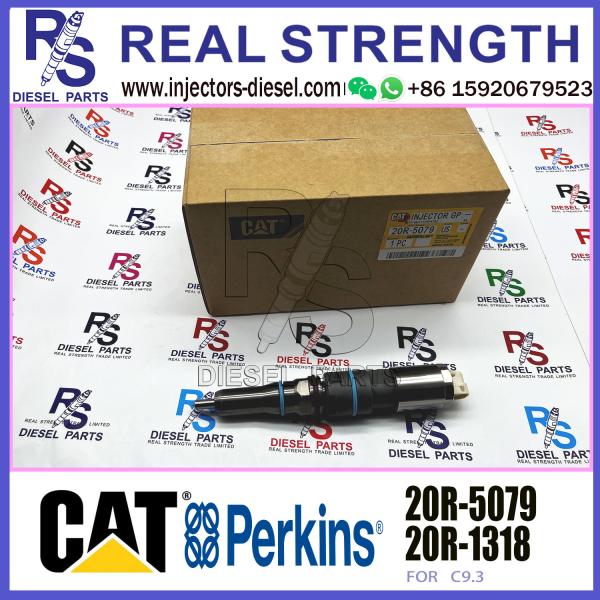 Common Rail Diesel Fuel Injector 456-3544 4563544 20R-5079 For Caterpillar C9.3 Engine 336E