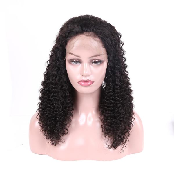 Buy Unprocessed Brazilian Full Lace Wigs Human Hair Jerry Curly No Tangling at wholesale prices