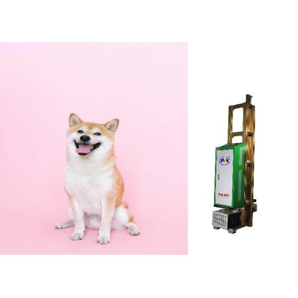 Buy 2880 Dpi Vertical Uv Wall Printer For Various Planar Materials at wholesale prices