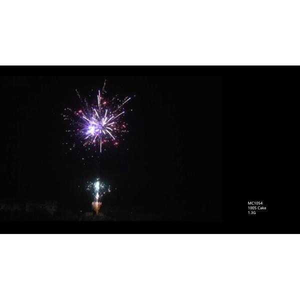 Buy Mandarin Professional 100 Shots Salute Pyrotechnics at wholesale prices