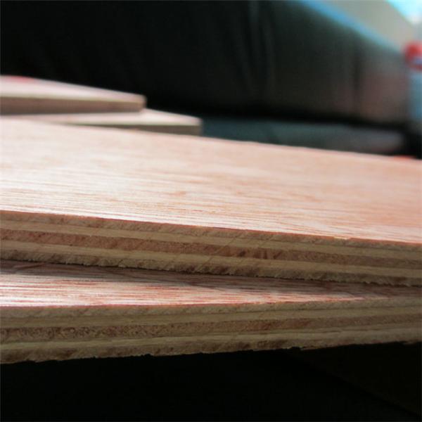 Buy Environmentally Decoration 25mm Bintangor Plywood at wholesale prices