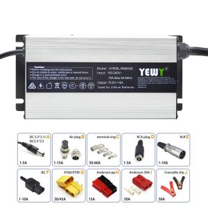 60V 12A 900W AGM Electric Car Battery Charger Lithium Automatic