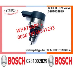 BOSCH DRV Valve 0281002829 Control Valve 0281002829 For DODGE JEEP HYUNDAI KIA