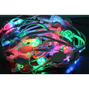 Outdoor Decoration Pixel Light 0.75W 30mm 12V LED Point Light wih IP67